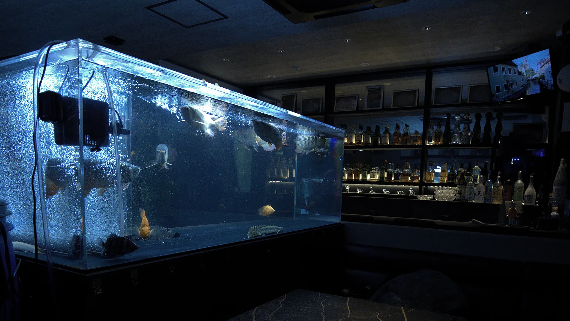 龍魚が泳ぐ大型アクアリウムを望むAqua Lounge Sの店内